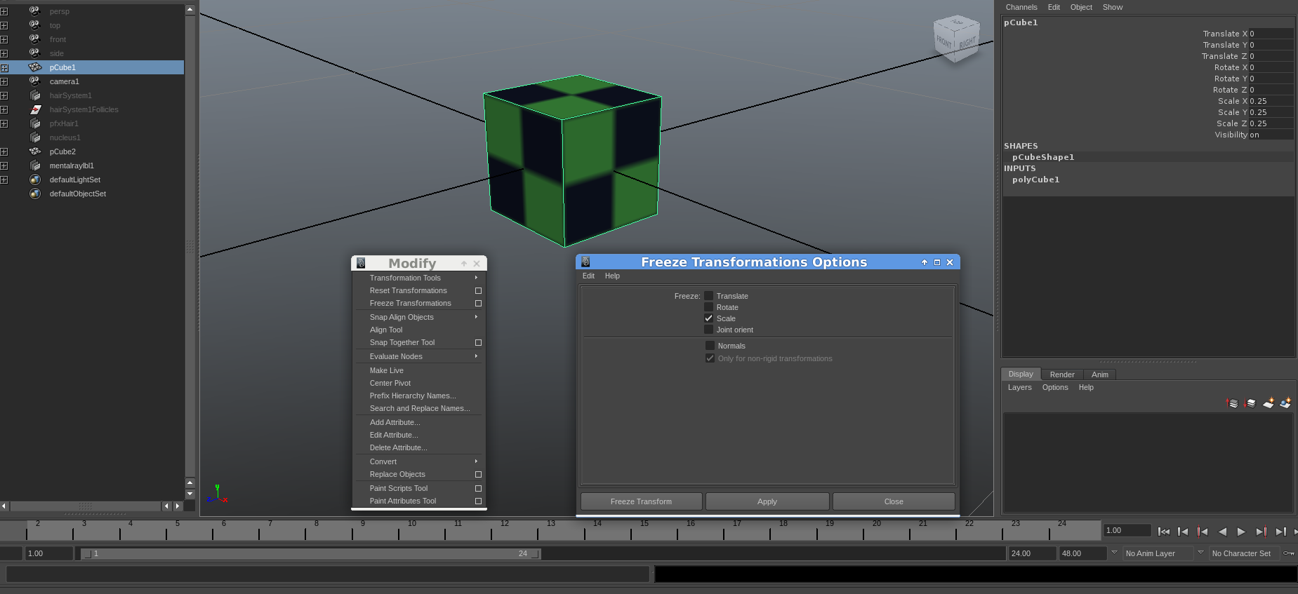 Freeze box scale transform